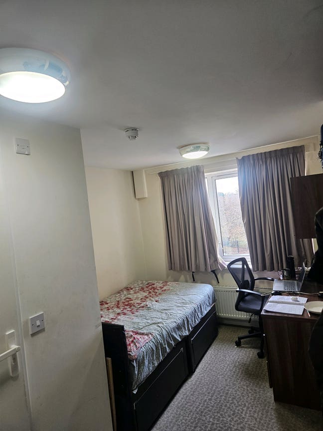 Spacious double ensuite room available  Main Photo