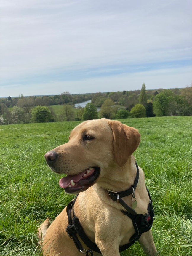 Twickenham, sole use flat on the river, £250pm.  Main Photo