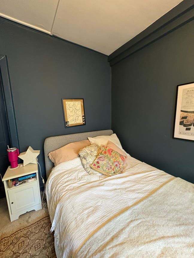 Bright and Homely Female Flatshare in Herne Hill  Main Photo