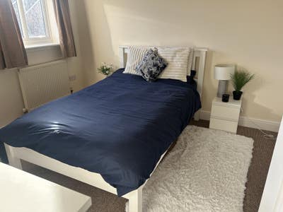Double bed for rent.  Main Photo