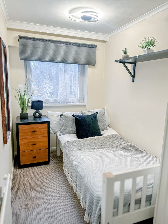 🌼Cosy Single Room in All-Female Flatshare | £750 Main Photo