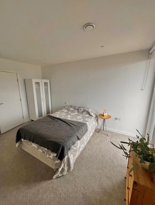 Professional Share Only – Clean, Respectful Living Main Photo