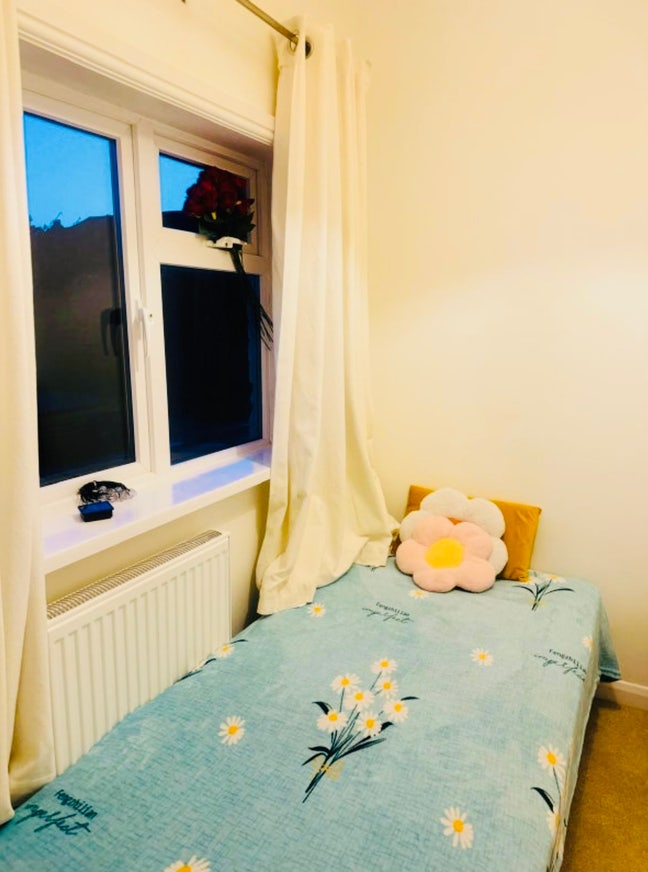 Room available for working professional  Main Photo