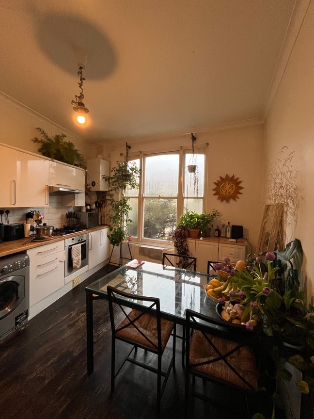 Spacious, atmospheric, plant-filled flatshare Main Photo