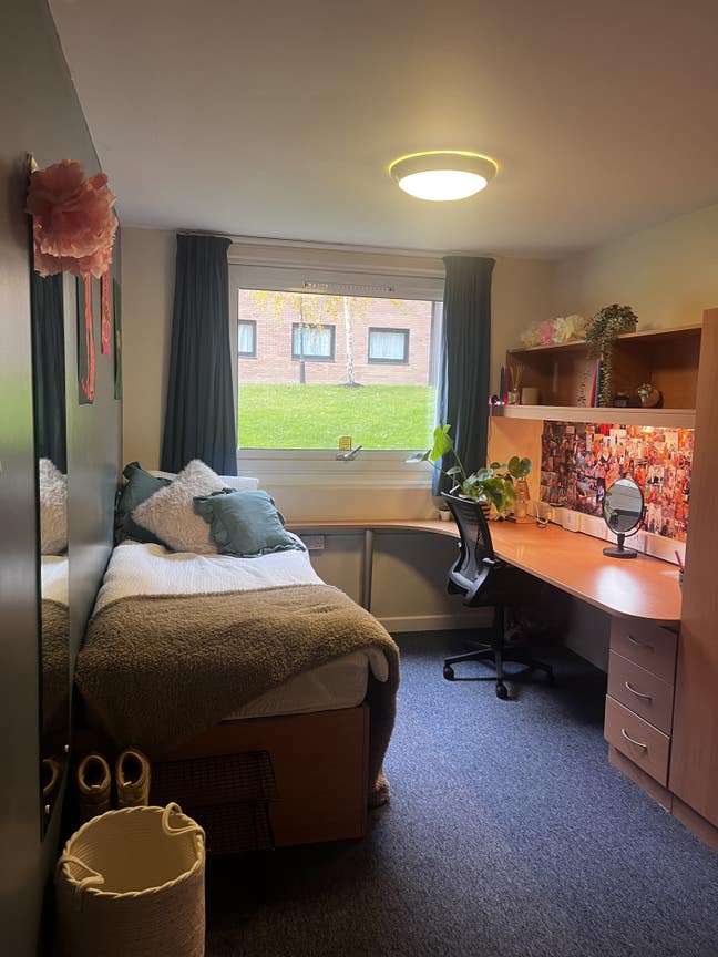 📢 En-Suite Room Available in Endcliffe – January  Main Photo