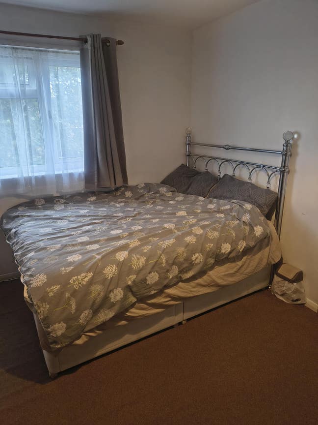 Room to let  Main Photo