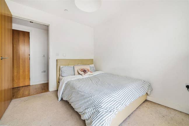Double room in a lovely 2 bed Apartment  Main Photo