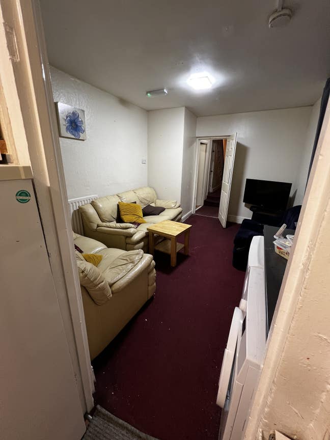 Student or professional let Main Photo