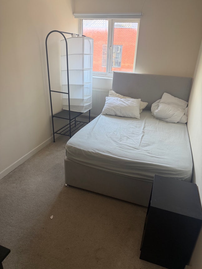 Single Room - Plush Locality  Main Photo