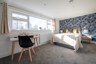 🌟Studio with a Kitchenette-Perfect for Couples🌟  Main Photo