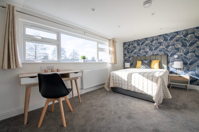 🌟Studio with a Kitchenette-Perfect for Couples🌟  Main Photo
