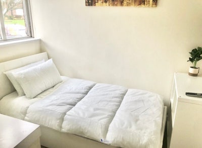 Single room  in Paulsgrove. Main Photo