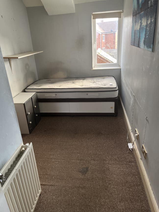 One room to rent  Main Photo