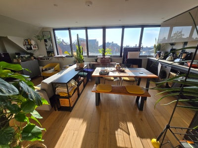 XMAS/NY sublet, entire 1 bed flat in NW2 Main Photo