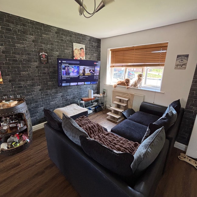 Live-in-landlord, Professionals, Quiet, Dogs Main Photo