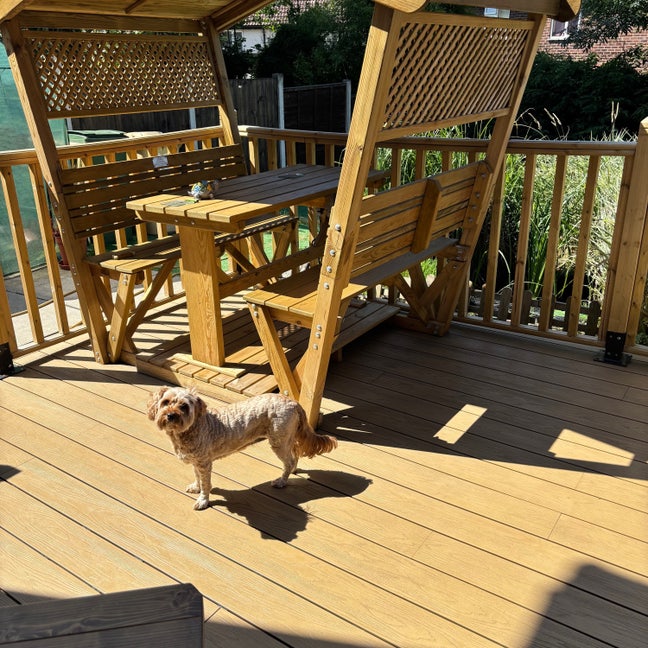 Live-in-landlord, Professionals, Quiet, Dogs Main Photo