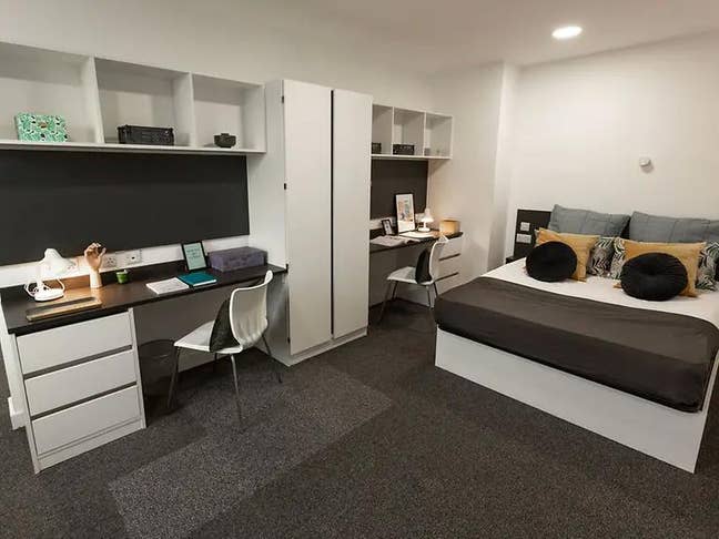 Spacious Premium Studio | Dual Occupancy | Modern  Main Photo