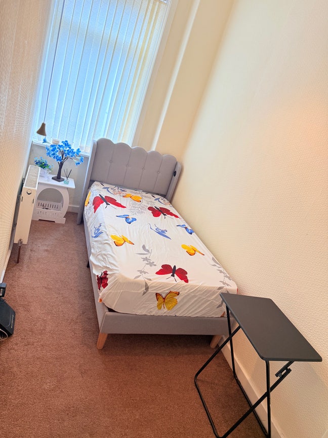  Single  room  available- Main Photo