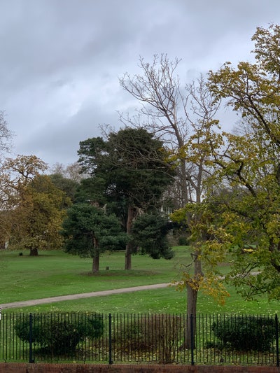 Lovely 2 bed flat opposite Barra Hall Park Main Photo