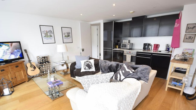 Lovely room in large flat with garden & kitten Main Photo