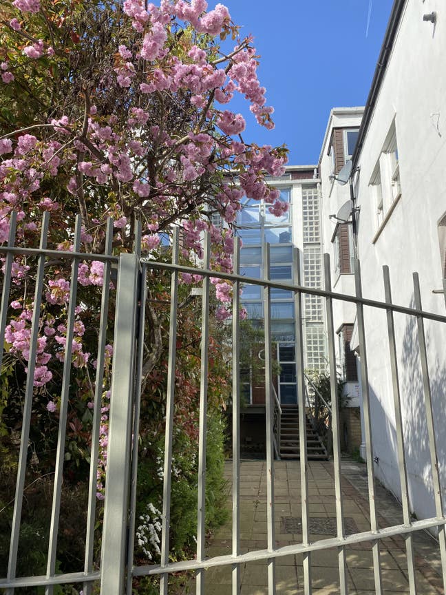 Stunning flat with garden 1 min from wanstead tube Main Photo