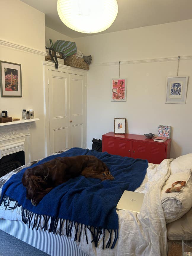 Room available in social Southville house  Main Photo