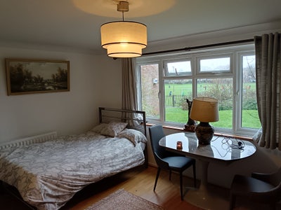 Specious room for rent  Main Photo
