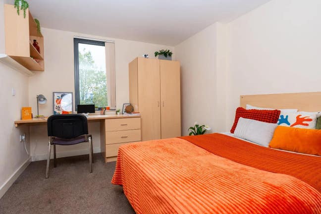Grafton Street Double Room | Jan–Aug 2026 | Female Main Photo