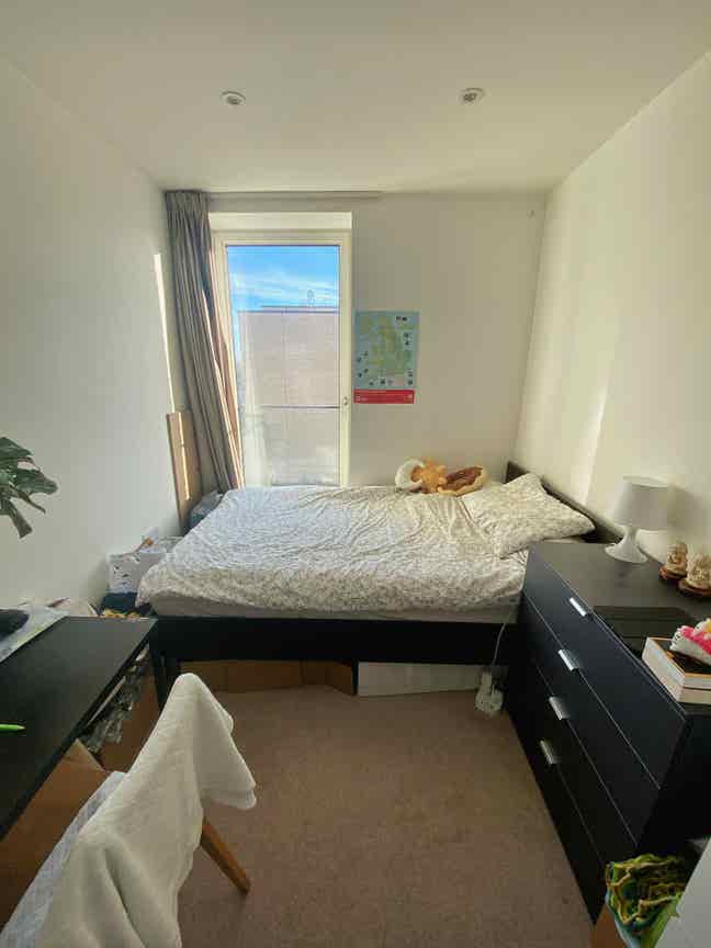 🌿 Bright Room in East Village, Move in: January Main Photo