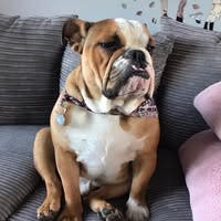 Student Female seeks a single or double room Main Photo