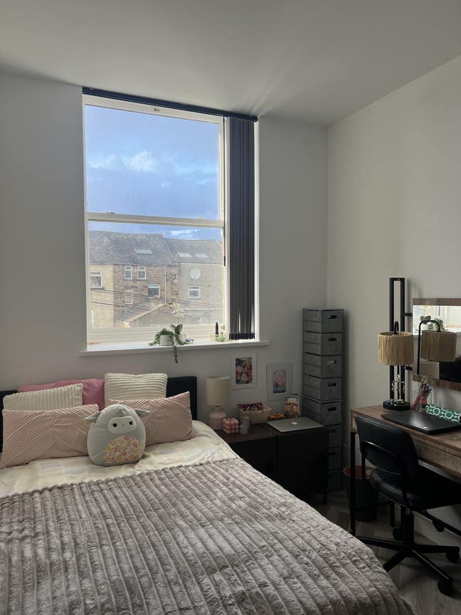 Perfect room in the center of Lancaster Main Photo