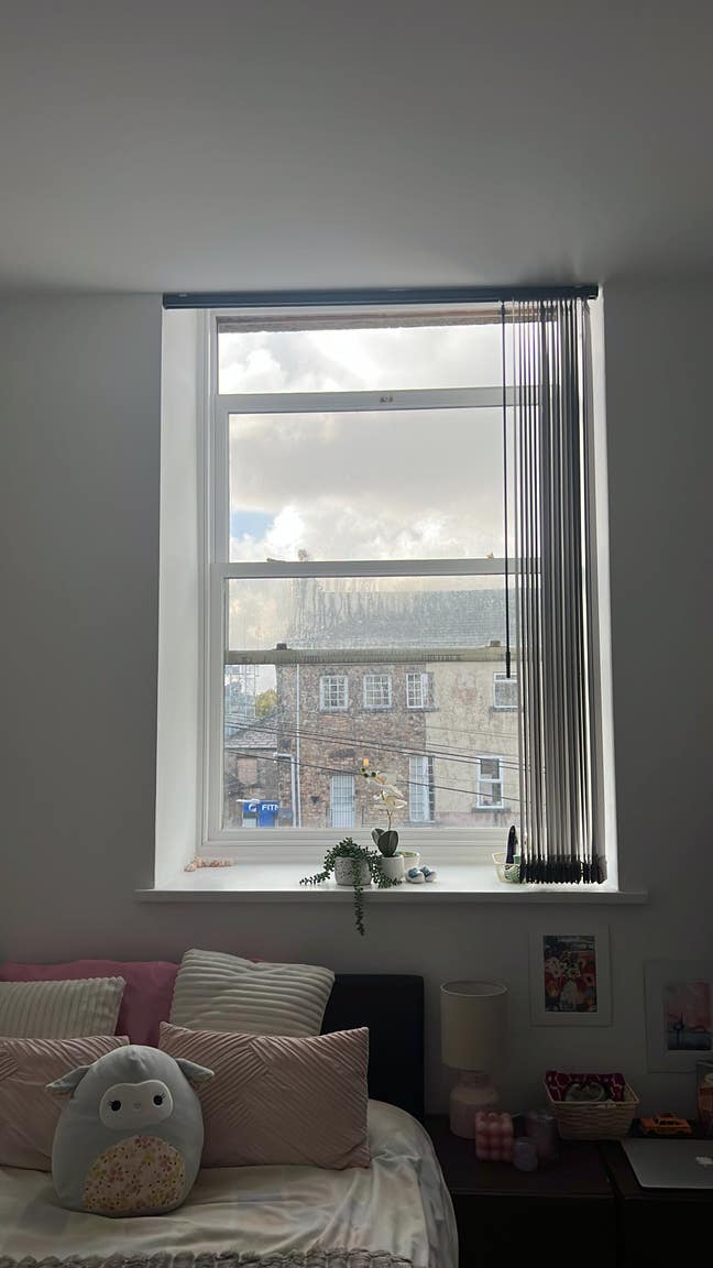 Perfect room in the center of Lancaster Main Photo