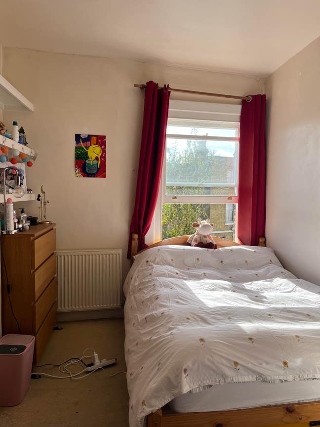 Double in large, bright, quiet Stockwell house Main Photo