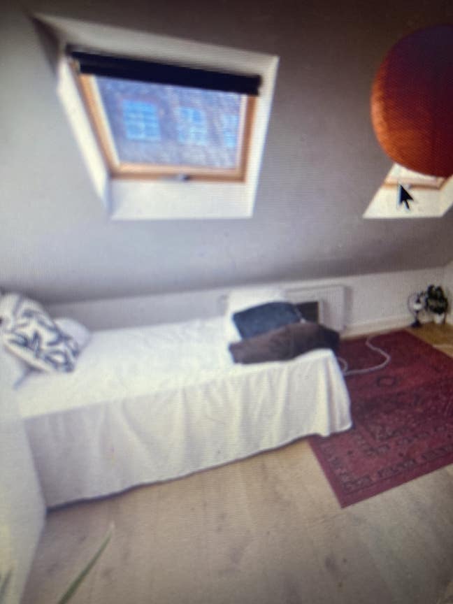 Room in a house close to Elizabeth line e15 Main Photo