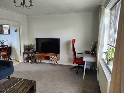 Single  Room with lots of Storage Main Photo