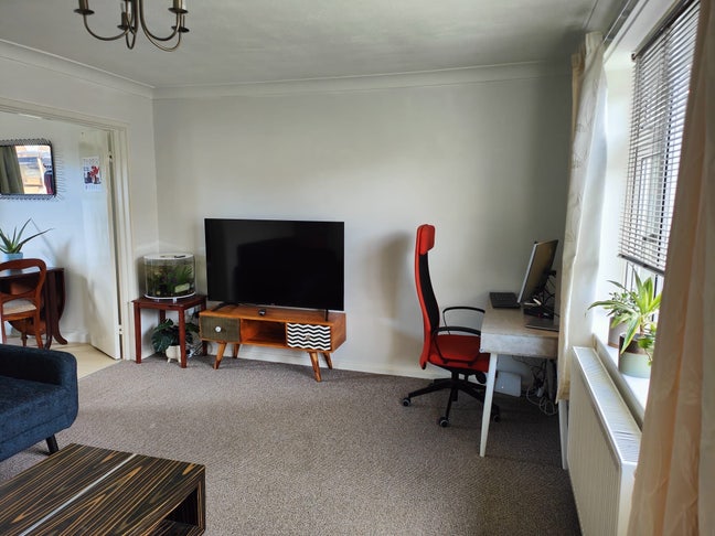 Single  Room with lots of Storage Main Photo