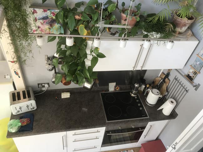 Tiny house in Beaumaris Main Photo