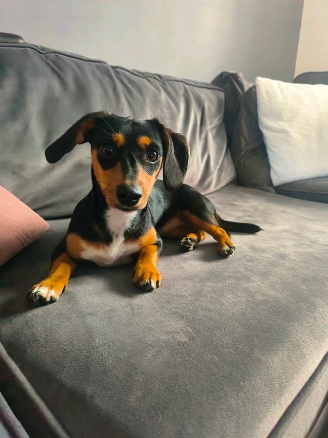 Single male  Main Photo