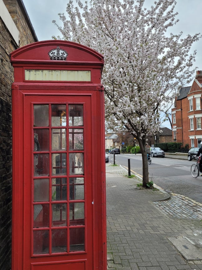 ✨Bright, Furnished Room in Beautiful Islington✨ Main Photo