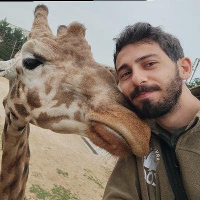 I am a vet professional looking for a room or flat Main Photo