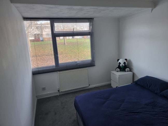 Double Room in Clean Quiet House Main Photo