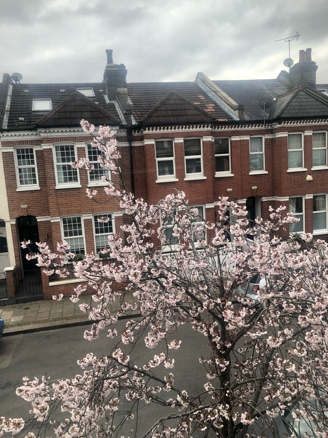 Double master room in a 2 bed Flat (Cat friendly)  Main Photo