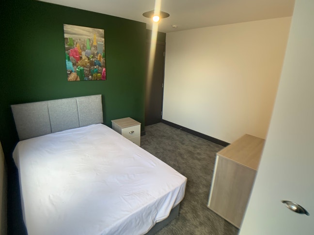 🏛️ Beautiful Room in Renovated Edwardian Home🏛️ Main Photo