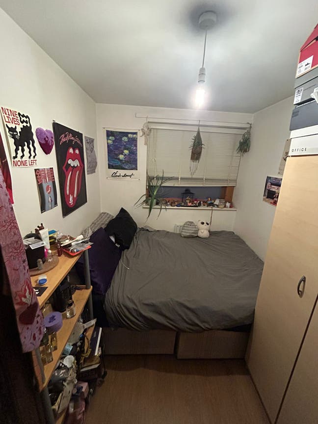 Double Room for Rent in Cozy 3-Bedroom Flat Main Photo