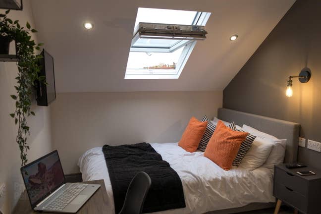 Ultra Modern Room now Available  - Grace Avenue Main Photo