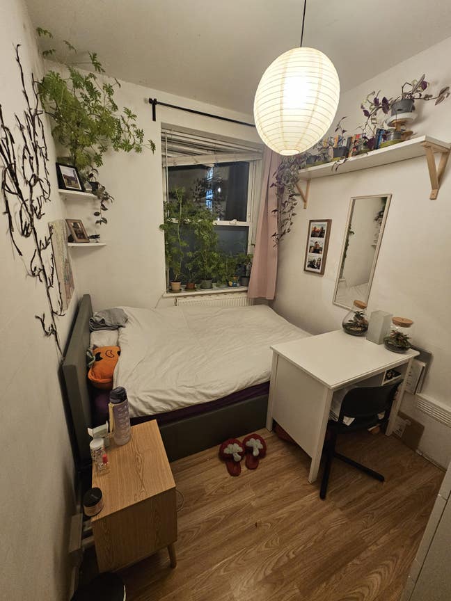 Compact Room next to The Shard Main Photo