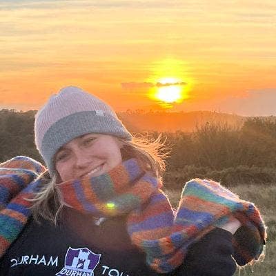 Friendly housemate looking for a room! Main Photo