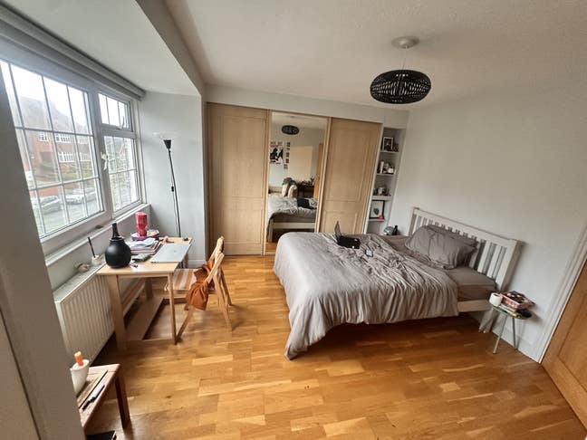 Looking for the 3rd member of our friendly house! Main Photo