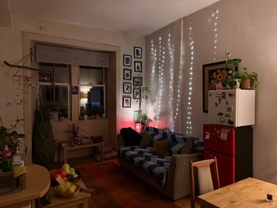 Nice single room in a friendly shared flat – EH7  Main Photo