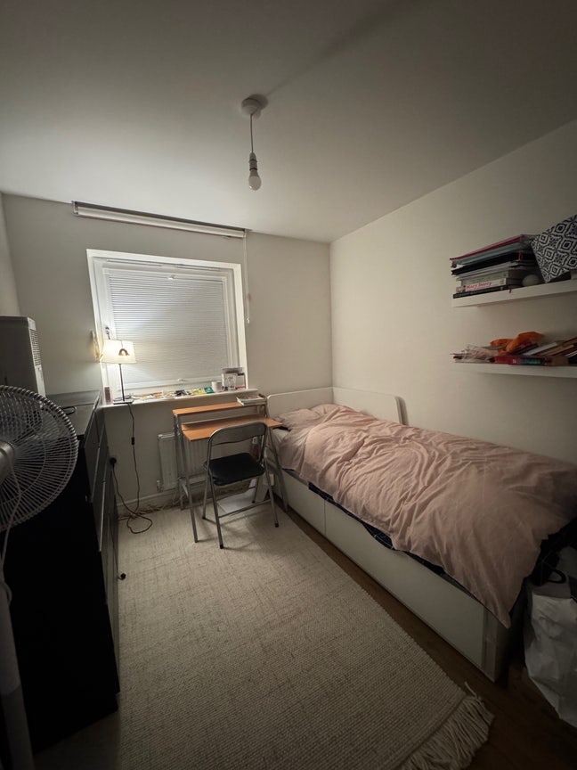Professional female seeking female housemate Main Photo